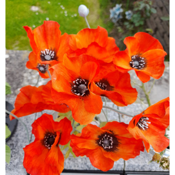 Notice Gallery for Leonard Reginald WILLIAMS