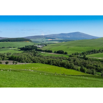 Notice Gallery for BRUCE GRANT