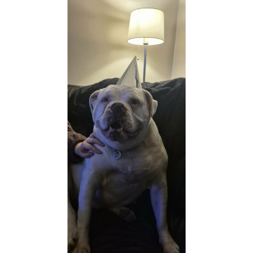 Photo for notice Phyllis WEBB