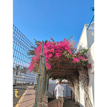 Photo for notice Chris HOLMES