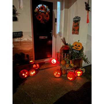 Photo for notice Chris HOLMES