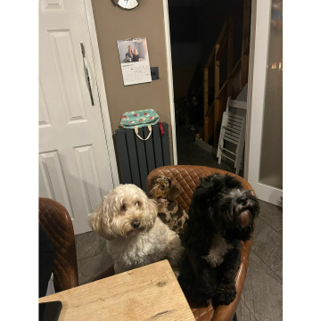 Photo for notice Chris HOLMES