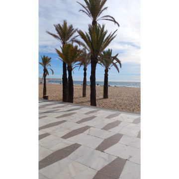 Photo for notice Chris HOLMES