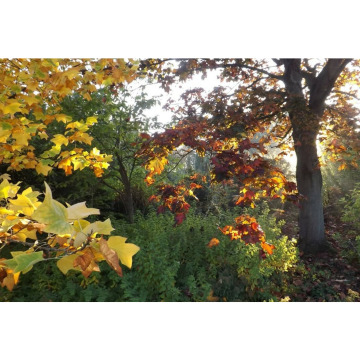 Photo for notice Chris HOLMES