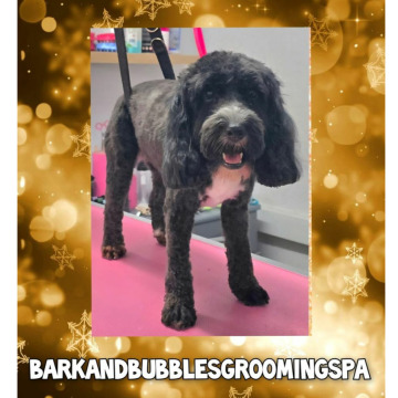 Photo for notice Chris HOLMES