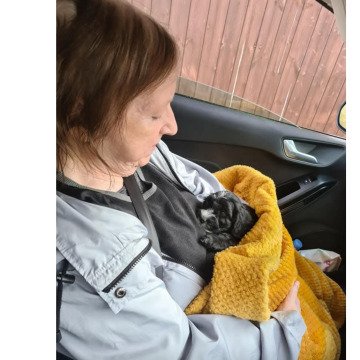 Photo for notice Chris HOLMES