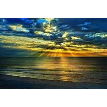 Photo of Florence PEARCE