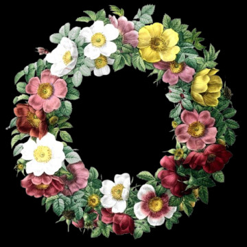 Photo for notice EILEEN KNOWLES