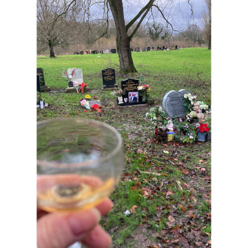 Tribute photo for Errol Eugene Michael MARTIN