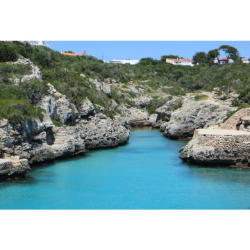 Notice Gallery for PAULA JAYNE BRAIDFORD