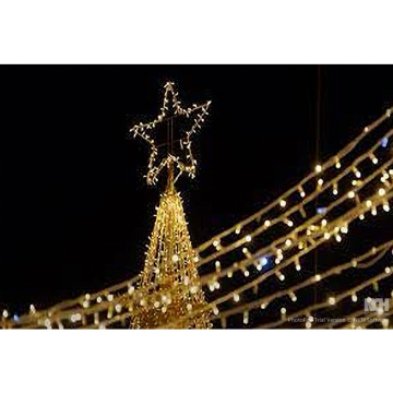 Photo for notice PAULA JAYNE BRAIDFORD