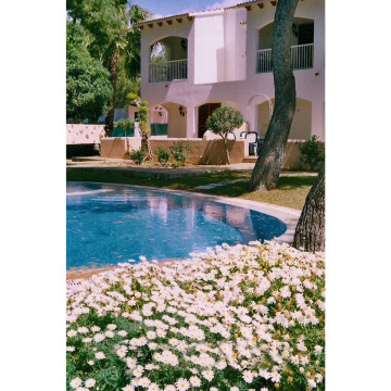 Photo for notice PAULA JAYNE BRAIDFORD