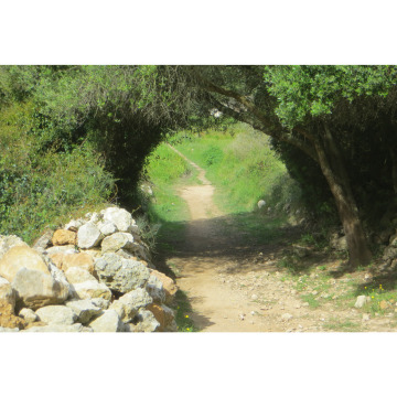 Photo for notice PAULA JAYNE BRAIDFORD