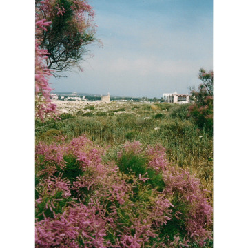 Photo for notice PAULA JAYNE BRAIDFORD