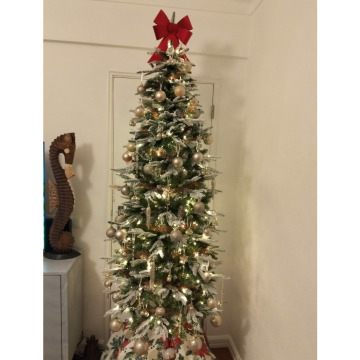 Photo for notice Mary OAKDEN