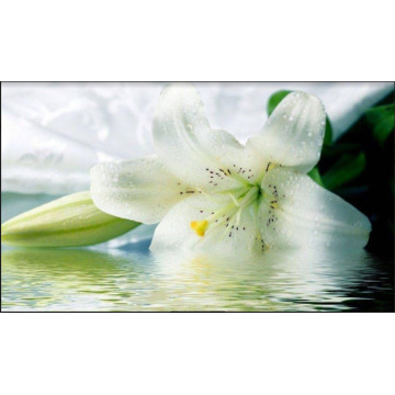 Photo of Philip William LEWIS