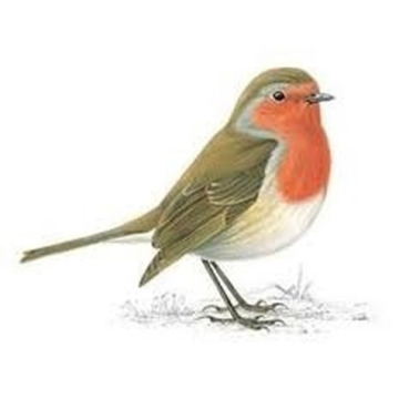 Photo of John LENNON