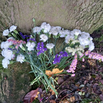 Notice Gallery for Barbara BARLEY