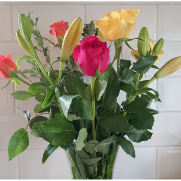 Notice Gallery for Barbara BARLEY