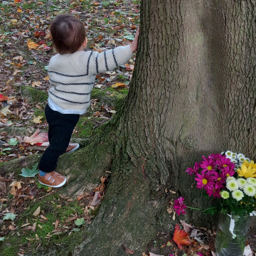 Notice Gallery for Barbara BARLEY