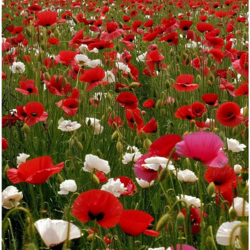 Photo for notice GARY JOHN LAWSON