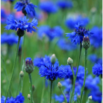 Photo for notice GARY JOHN LAWSON