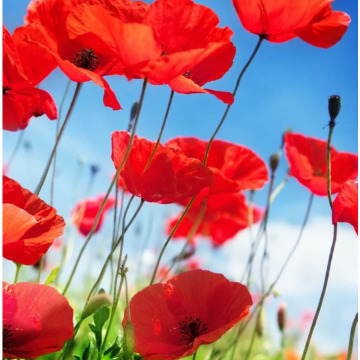 Photo for notice GARY JOHN LAWSON