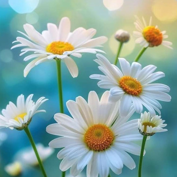 Photo for notice GARY JOHN LAWSON