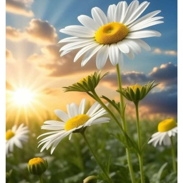 Photo for notice GARY JOHN LAWSON