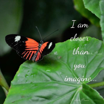 Photo for notice GARY JOHN LAWSON