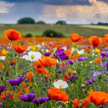 Photo for notice GARY JOHN LAWSON