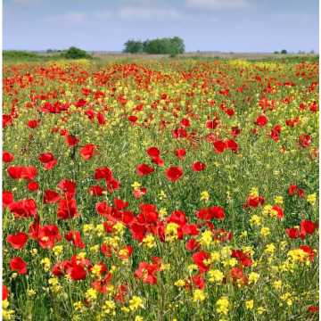 Photo for notice GARY JOHN LAWSON