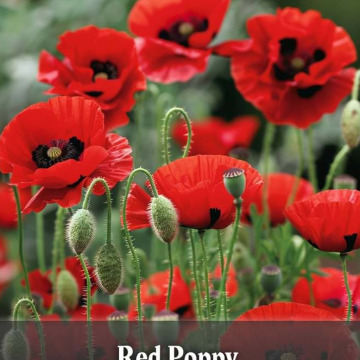 Photo for notice GARY JOHN LAWSON