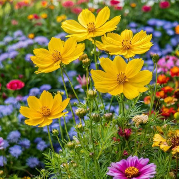 Photo for notice GARY JOHN LAWSON