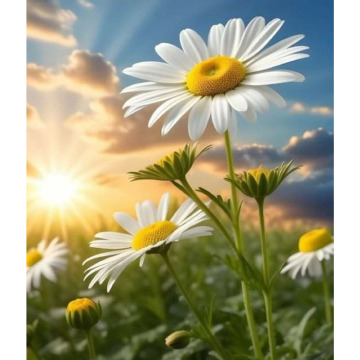 Photo for notice GARY JOHN LAWSON