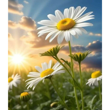 Photo for notice GARY JOHN LAWSON