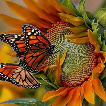 Photo for notice GARY JOHN LAWSON