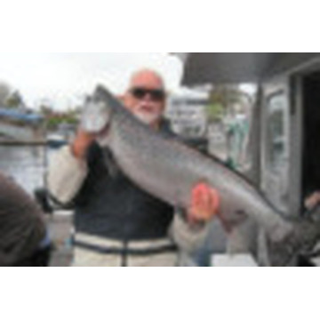 Photo of DAVID JOHN LEWIS