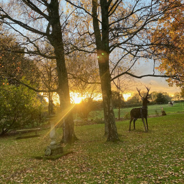 Notice Gallery for Anthony Hugh Hier NOEL