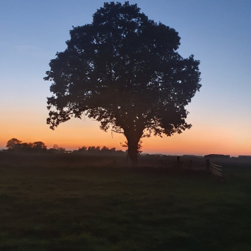 Notice Gallery for Charles Philip DIGBY