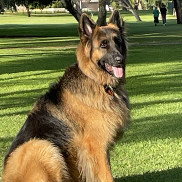 Photo for notice Joyce McPHERSON