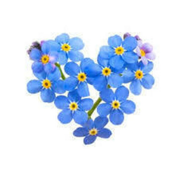 Photo of Colette DOCHERTY