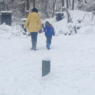 Notice Gallery for Eileen COLLINS