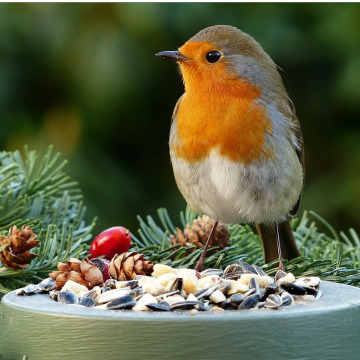 Notice Gallery for Mary Elizabeth Constance WHITE