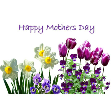 Notice Gallery for Mary Elizabeth Constance WHITE