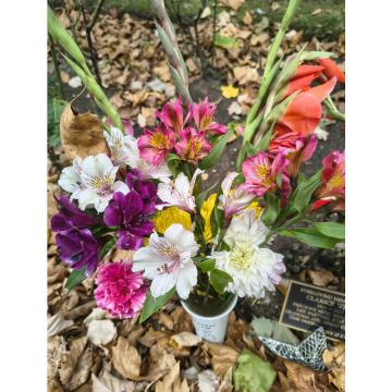 Photo for notice Clarice WINKS