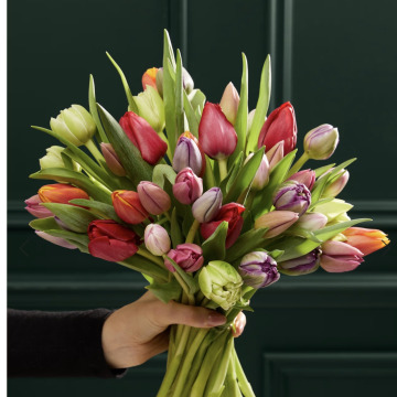 Photo for notice Robert TAYLOR