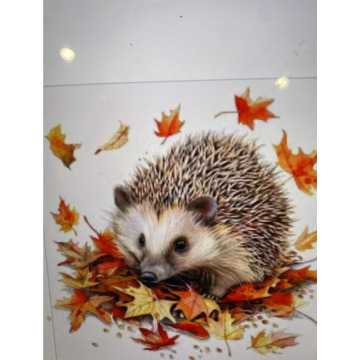 Photo for notice Ivan John DEXTER