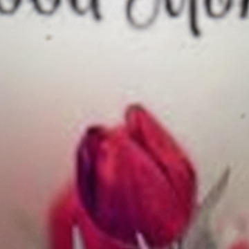 Photo for notice Ivan John DEXTER