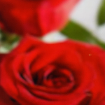 Photo for notice Ivan John DEXTER